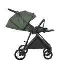 Коляска прогулочная с реверсивным блоком Pituso Carbon RX цвет: Taiga Green