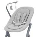 Стульчик для кормления+шезлонг 4 в 1 Carrello Ergo цвет: Night grey CRL-16701