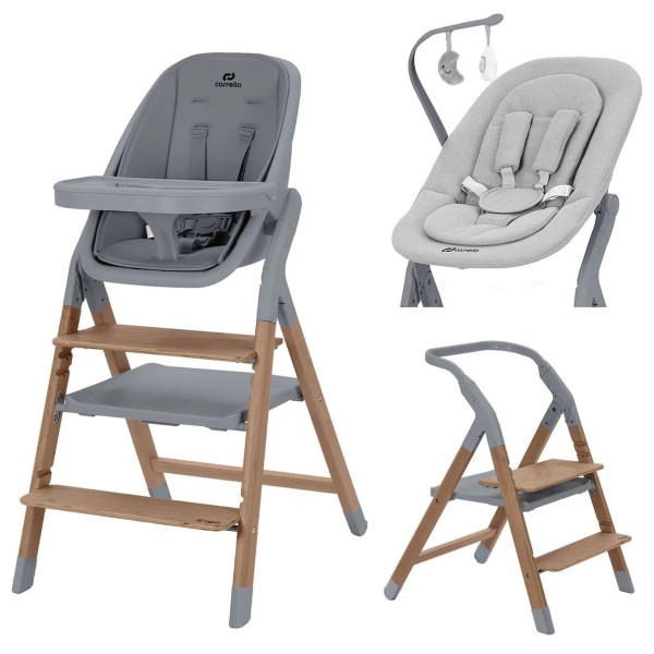 Стульчик для кормления+шезлонг 4 в 1 Carrello Ergo цвет: Night grey CRL-16701