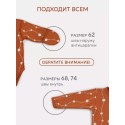 Боди с длинным рукавом Rant Hugs and Kisses brown milk 62 см 2 шт 6772-62