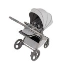 Коляска детская 2 в 1 ANEX FLO цвет: frossy FL-06c