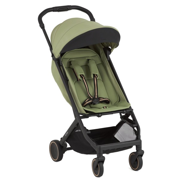 Коляска детская прогулочная Anex Air-X2 цвет: vert