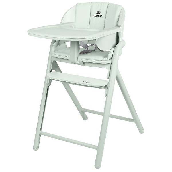 Стульчик для кормления 3 в 1 Carrello Tenero цвет: Elysium Green CRL-9507 Стульчик для кормления 3 в 1 Carrello Tenero цвет: Elysium Green CRL-9507