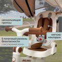 Велосипед детский трехколесный Bubago Malanka цвет : коричневый BG211-2
