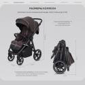 Коляска детская прогулочная Rant Caspia Soft цвет: Shine Brown RA100