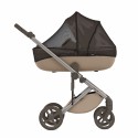 Коляска детская 2 в 1 Anex Eli цвет: gato el-11