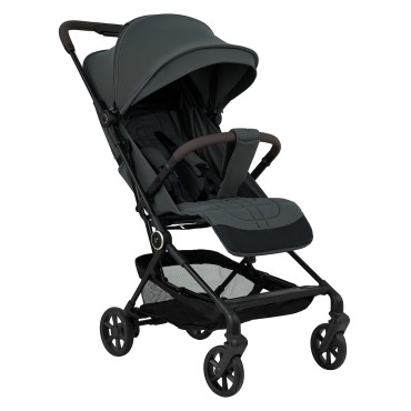 Коляска прогулочная Pituso Q3 цвет: Oliva Grigio