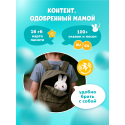 Игрушка интерактивная развивающая Alilo Медовый зайка ® G6+ цвет: сиреневый 60301