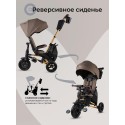 Велосипед трехколесный 8 в 1 Qplay SPRINTER S MAX цвет: Brown Lux/Gold S702