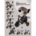 Велосипед трехколесный 8 в 1 Qplay SPRINTER S MAX цвет: Brown Lux/Gold S702