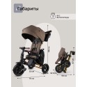 Велосипед трехколесный 8 в 1 Qplay SPRINTER S MAX цвет: Brown Lux/Gold S702