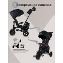 Велосипед трехколесный 8 в 1 Qplay SPRINTER S MAX цвет: Black Lux/Black