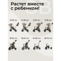 Велосипед трехколесный 8 в 1 Qplay Comfo Max цвет: Brown T70