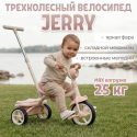 Велосипед детский трехколесный Bubago Jerry цвет: Розовый BG 200-1