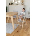 Стульчик для кормления+шезлонг 4 в 1 Carrello Ergo цвет: Elora Green CRL-16701