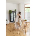 Стульчик для кормления+шезлонг 4 в 1 Carrello Ergo цвет: Elora Green CRL-16701