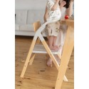 Стульчик для кормления+шезлонг 4 в 1 Carrello Ergo цвет: Elora Green CRL-16701