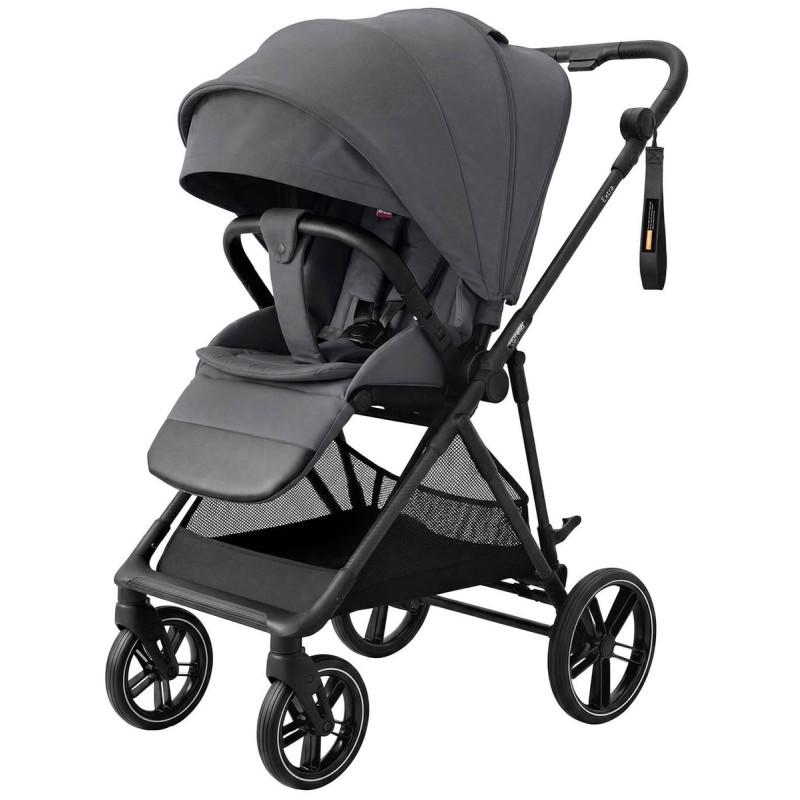 Коляска прогулочная Carrello Extra с реверсивным блоком цвет: Chrome Grey CRL- 5532 Коляска прогулочная Carrello Extra с реверсивным блоком цвет: Chrome Grey CRL- 5532