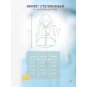 Теплая жилетка со съемным капюшоном 80-92 см цвет: хаки 110-04