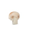 Прорезыватель для зубов из натурального каучука " MANOLO THE MUSHROOM/ Шампиньон " Oli&Carol Прорезыватель для зубов из натурального каучука " MANOLO THE MUSHROOM/ Шампиньон " Oli&Carol