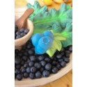 Прорезыватель для зубов из натурального каучука " Jerry The Blueberry / Голубика " Oli&Carol