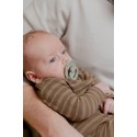 Соска-пустышка Bibs Colour Anatomical 0-6 месяцев цвет: sage 111250