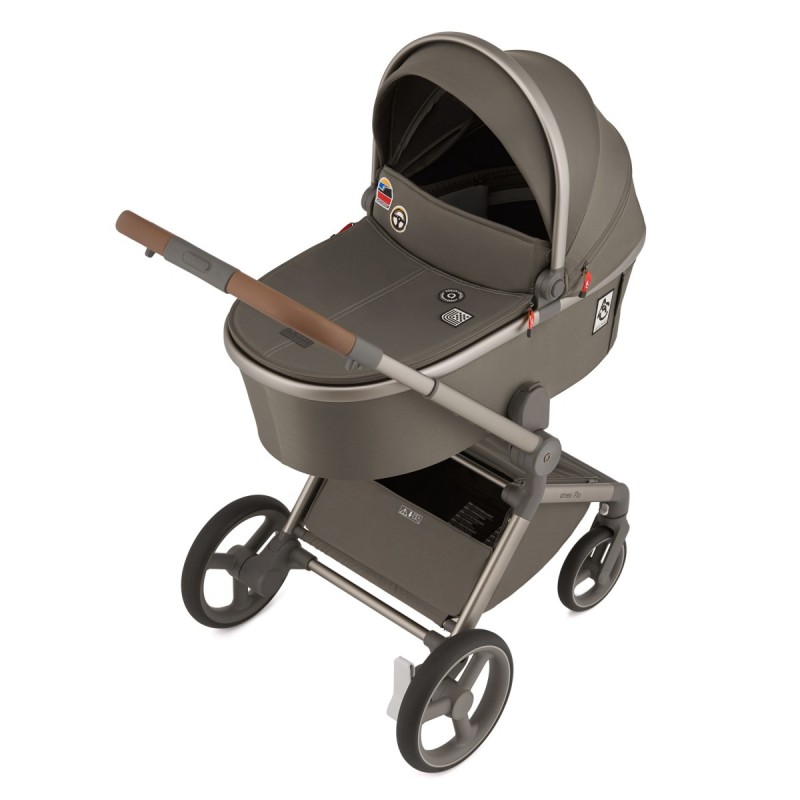 Коляска детская 2 в 1 Anex Flo Special Edition цвет: Cesar SE-01