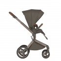 Коляска детская 2 в 1 Anex Flo Special Edition цвет: Cesar SE-01