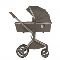 Коляска детская 2 в 1 Anex Flo Special Edition цвет: Cesar SE-01